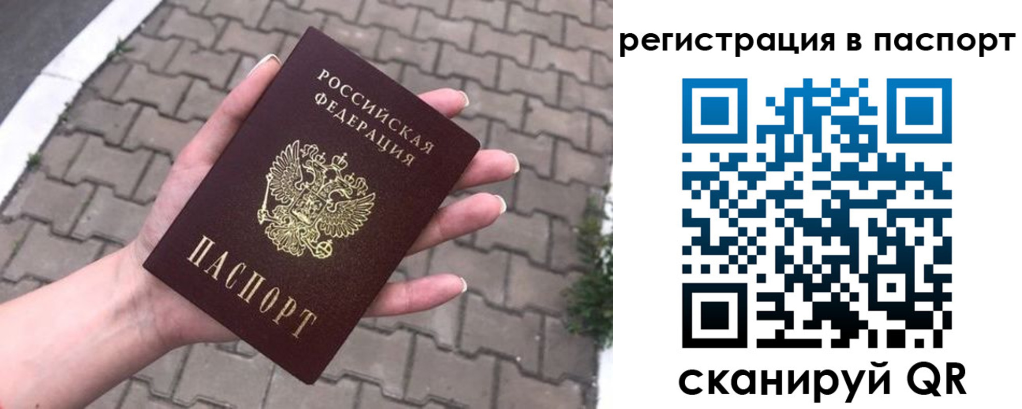прописка 2025 в Волгодонске